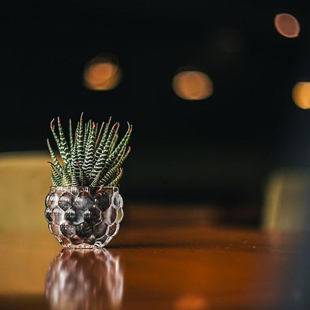 Portal Plaza Suites Μεντόζα Εξωτερικό φωτογραφία